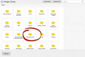 media gallery folder